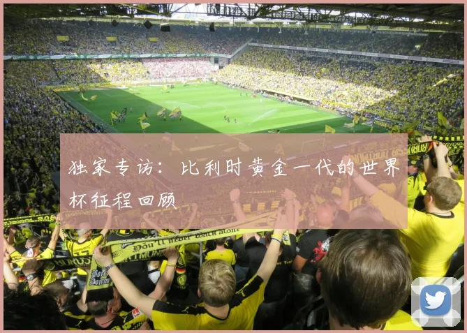 独家专访：比利时黄金一代的世界杯征程回顾