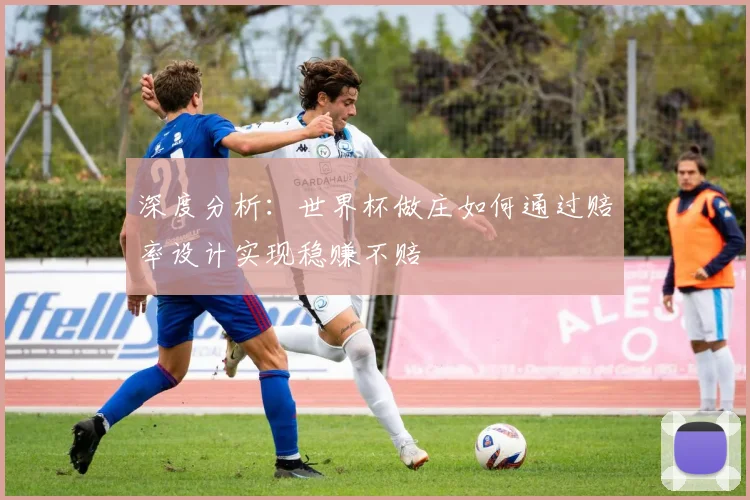 深度分析：世界杯做庄如何通过赔率设计实现稳赚不赔