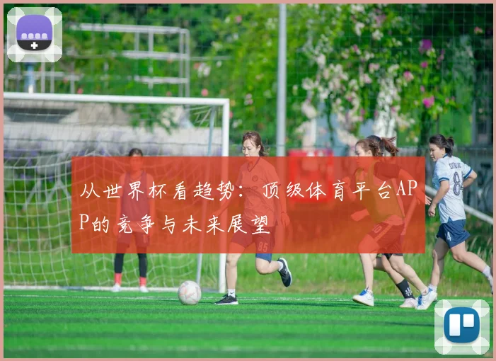 从世界杯看趋势:顶级体育平台APP的竞争与未来展望