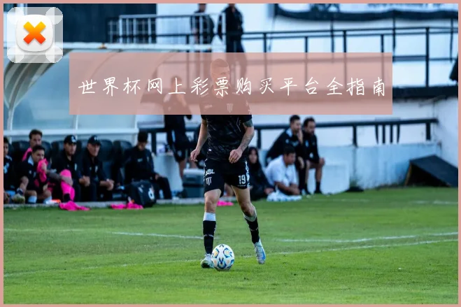 世界杯网上彩票购买平台全指南