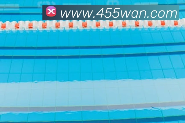 华体网首页官网平台生态图